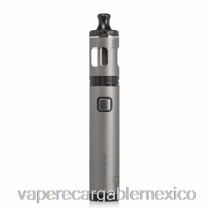 Vape Recargable Innokin Endura Apex Kit De Inicio Gris